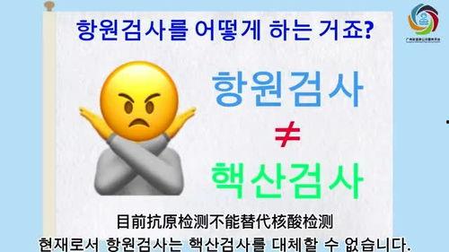 日韩语种视频教程全集,轻松掌握日语与韩语入门技巧