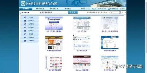 中国知网吃瓜,网络舆论场中的娱乐与反思